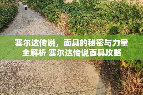 塞尔达传说，**的秘密与力量全解析 塞尔达传说**攻略