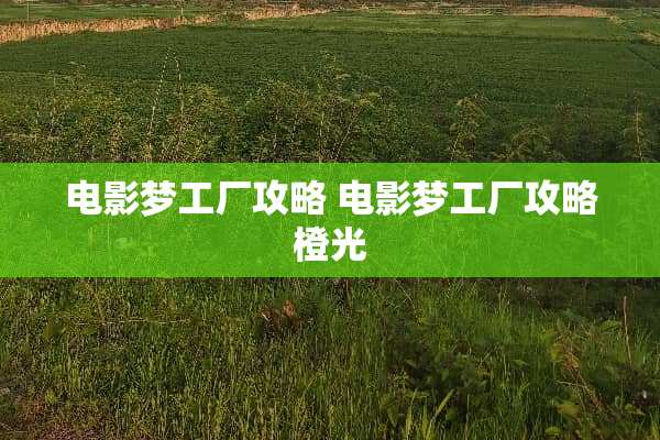 电影梦工厂攻略 电影梦工厂攻略橙光
