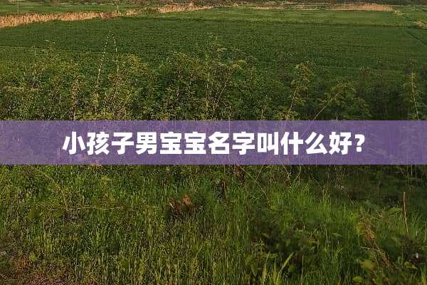小孩子男宝宝名字叫什么好？