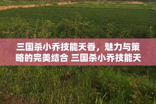 三国杀小乔技能天香，魅力与策略的完美结合 三国杀小乔技能天香