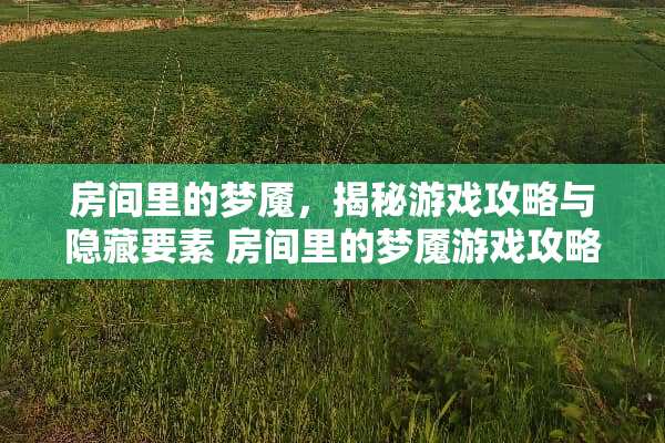 房间里的梦魇，揭秘游戏攻略与隐藏要素 房间里的梦魇游戏攻略