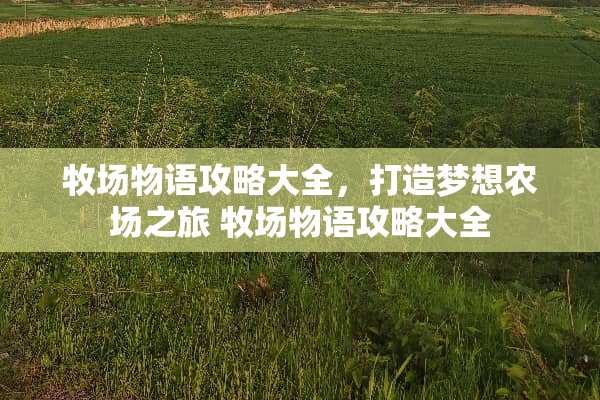 牧场物语攻略大全，打造梦想农场之旅 牧场物语攻略大全