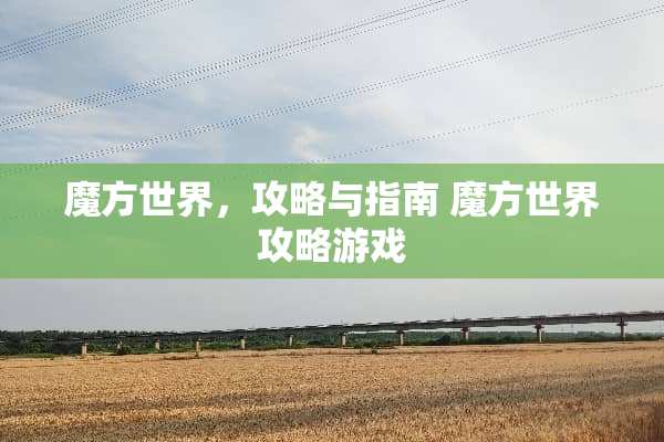 魔方世界，攻略与指南 魔方世界攻略游戏