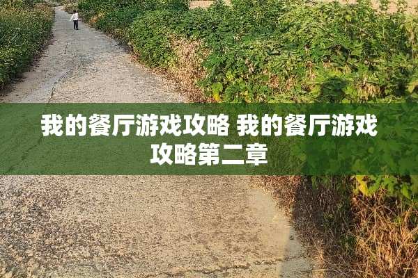 我的餐厅游戏攻略 我的餐厅游戏攻略第二章