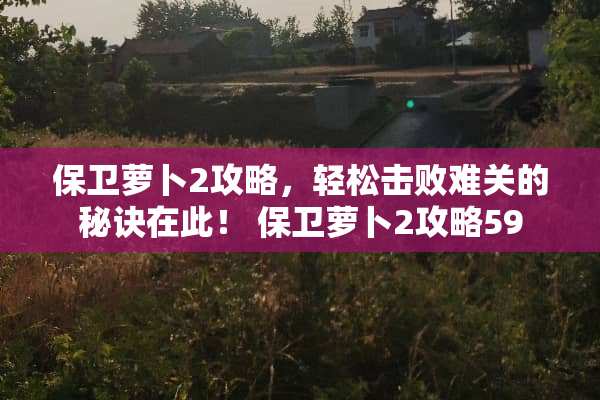保卫萝卜2攻略，轻松击败难关的秘诀在此！ 保卫萝卜2攻略59