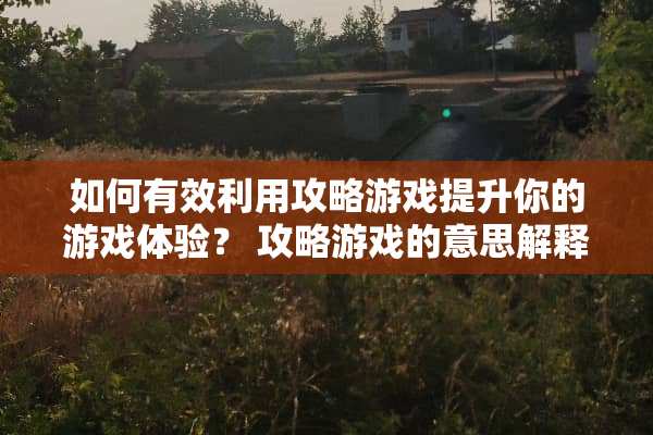 如何有效利用攻略游戏提升你的游戏体验？ 攻略游戏的意思解释