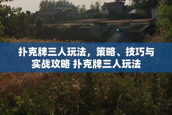 **牌三人玩法，策略、技巧与实战攻略 **牌三人玩法
