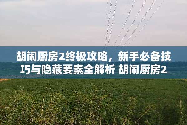 胡闹厨房2终极攻略，新手必备技巧与隐藏要素全解析 胡闹厨房2攻略