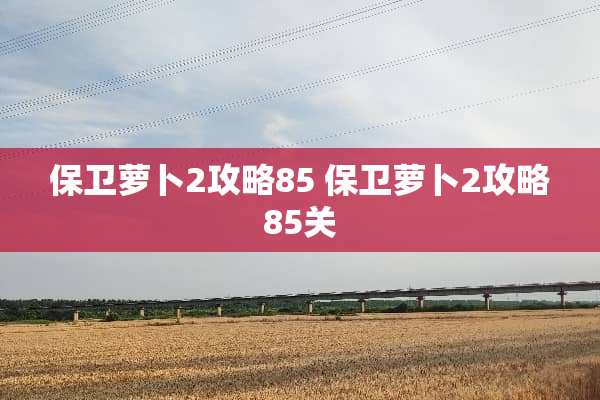 保卫萝卜2攻略85 保卫萝卜2攻略85关