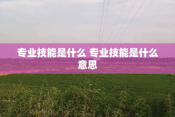 专业技能是什么 专业技能是什么意思