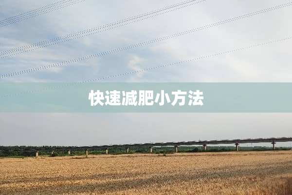 快速减肥小方法