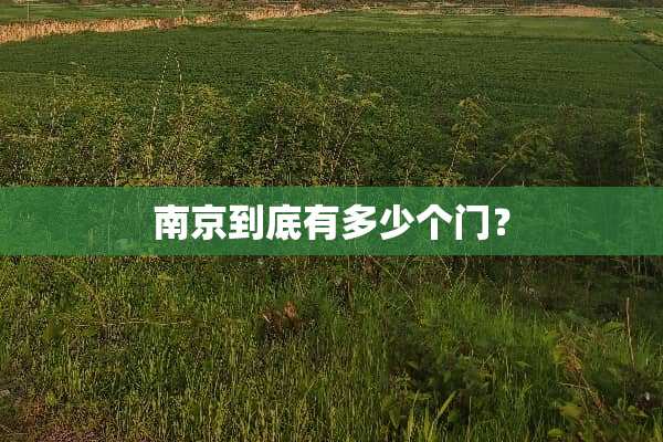 南京到底有多少个门？
