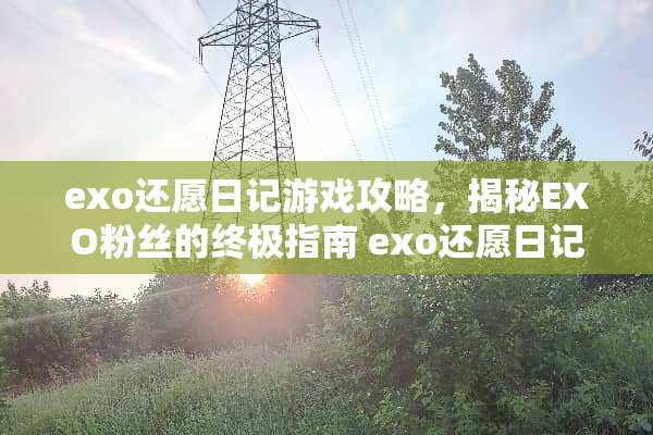 exo还愿日记游戏攻略，揭秘EXO粉丝的终极指南 exo还愿日记游戏攻略