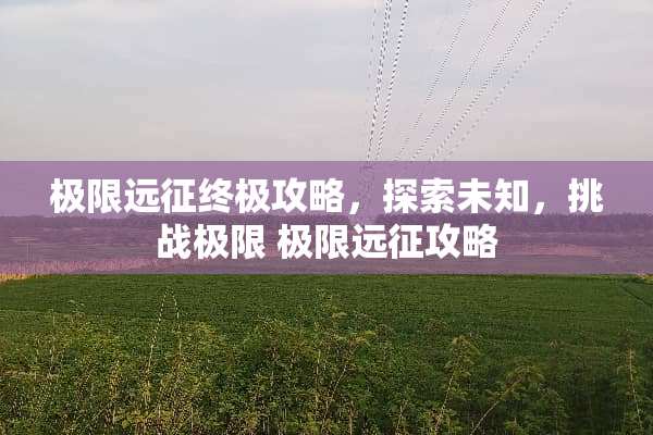 极限远征终极攻略，探索未知，挑战极限 极限远征攻略
