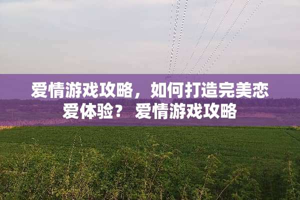 爱情游戏攻略，如何打造完美恋爱体验？ 爱情游戏攻略