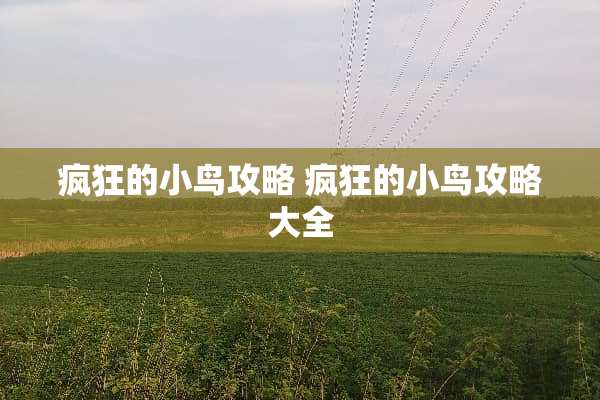 疯狂的小鸟攻略 疯狂的小鸟攻略大全