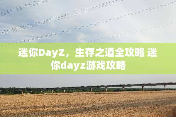 迷你DayZ，生存之道全攻略 迷你dayz游戏攻略