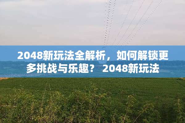2048新玩法全解析，如何解锁更多挑战与乐趣？ 2048新玩法