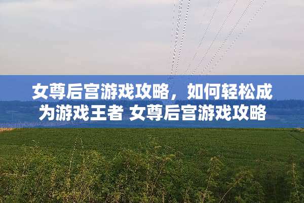女尊后宫游戏攻略，如何轻松成为游戏王者 女尊后宫游戏攻略