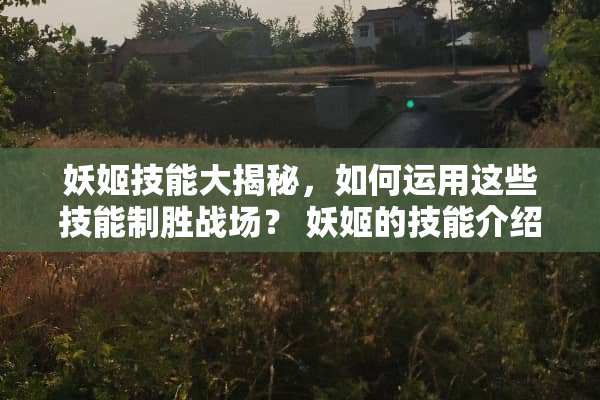 妖姬技能大揭秘，如何运用这些技能制胜战场？ 妖姬的技能介绍