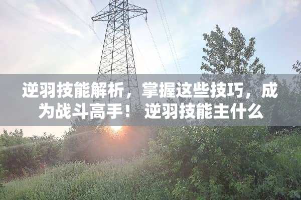 逆羽技能解析，掌握这些技巧，成为战斗高手！ 逆羽技能主什么