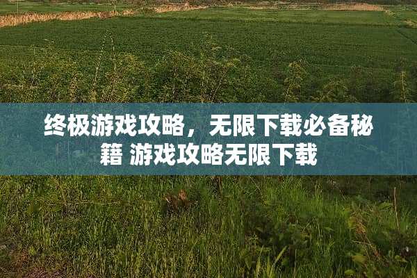 终极游戏攻略，无限下载必备秘籍 游戏攻略无限下载