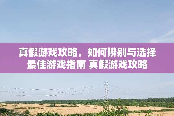 真假游戏攻略，如何辨别与选择最佳游戏指南 真假游戏攻略