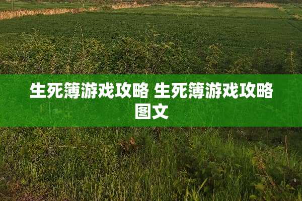 生死簿游戏攻略 生死簿游戏攻略图文
