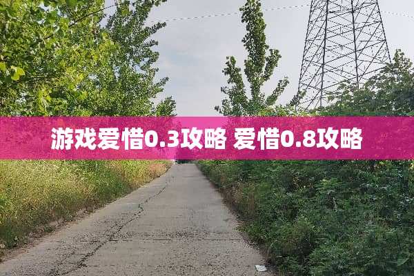 游戏爱惜0.3攻略 爱惜0.8攻略