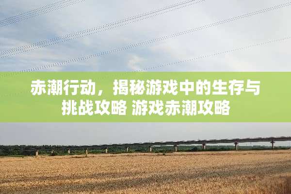 赤潮行动，揭秘游戏中的生存与挑战攻略 游戏赤潮攻略