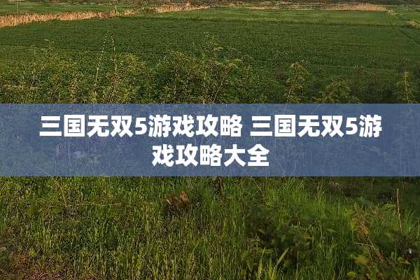 三国无双5游戏攻略 三国无双5游戏攻略大全