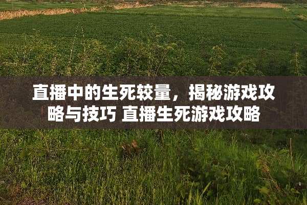 直播中的生死较量，揭秘游戏攻略与技巧 直播生死游戏攻略