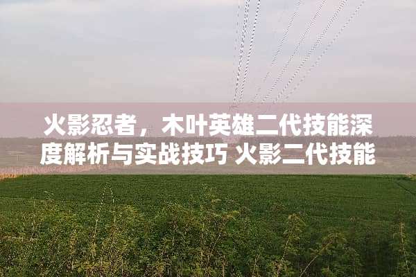火影忍者，木叶英雄二代技能深度解析与实战技巧 火影二代技能