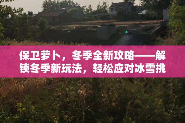 保卫萝卜，冬季全新攻略——解锁冬季新玩法，轻松应对冰雪挑战！ 保卫萝卜冬季攻略