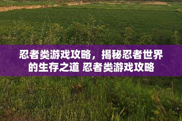 忍者类游戏攻略，揭秘忍者世界的生存之道 忍者类游戏攻略