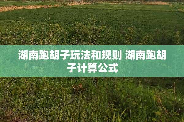 湖南跑胡子玩法和规则 湖南跑胡子计算公式