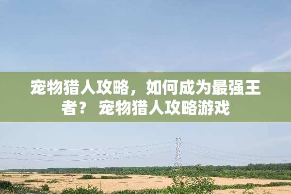 宠物猎人攻略，如何成为最强王者？ 宠物猎人攻略游戏