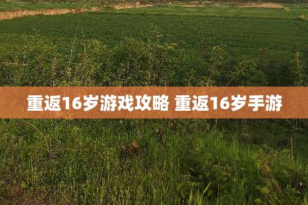 重返16岁游戏攻略 重返16岁手游