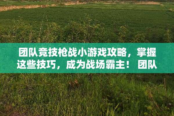 团队竞技*战小游戏攻略，掌握这些技巧，成为战场霸主！ 团队竞技*战小游戏攻略