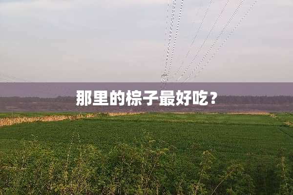 那里的棕子最好吃？