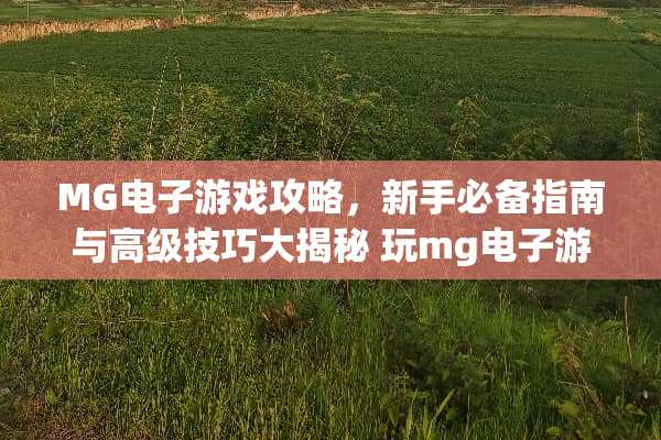 MG电子游戏攻略，新手必备指南与高级技巧大揭秘 玩mg电子游戏攻略