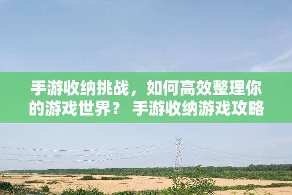 手游收纳挑战，如何高效整理你的游戏世界？ 手游收纳游戏攻略