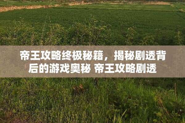 帝王攻略终极秘籍，揭秘剧透背后的游戏奥秘 帝王攻略剧透