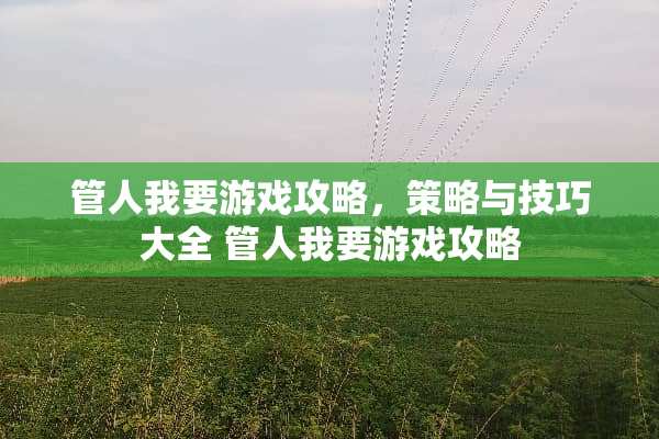 管人我要游戏攻略，策略与技巧大全 管人我要游戏攻略