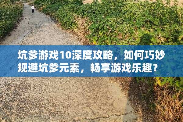 坑爹游戏10深度攻略，如何巧妙规避坑爹元素，畅享游戏乐趣？ 坑爹游戏10的攻略