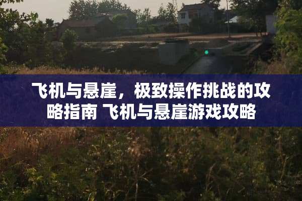 飞机与悬崖，极致操作挑战的攻略指南 飞机与悬崖游戏攻略