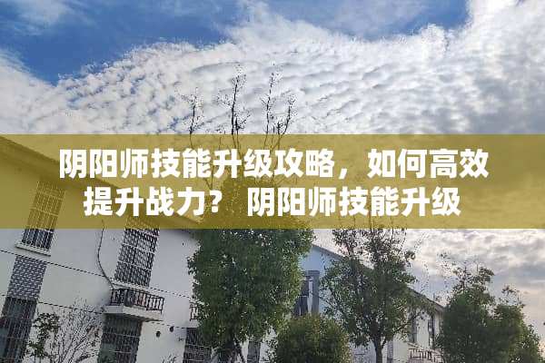 *阳师技能升级攻略，如何高效提升战力？ *阳师技能升级