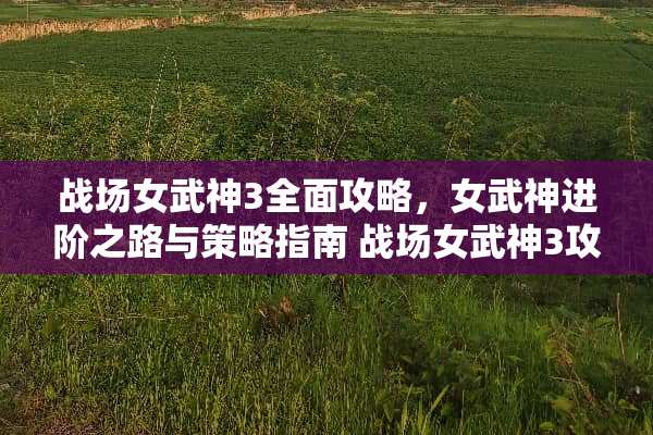 战场女武神3全面攻略，女武神进阶之路与策略指南 战场女武神3攻略