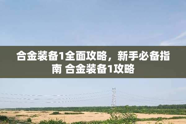 合金装备1全面攻略，新手必备指南 合金装备1攻略