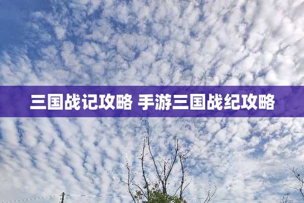 三国战记攻略 手游三国战纪攻略